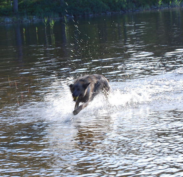 Sommar 2010 079.JPG Sommar 2010 079.JPG
